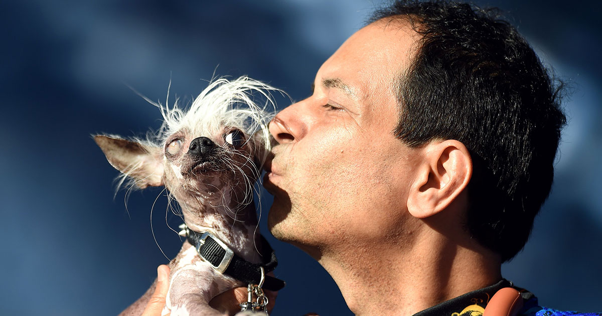 world's ugliest dog