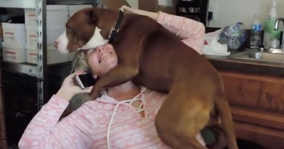 Adorable Video of Appreciative Rescue Dog Goes Viral