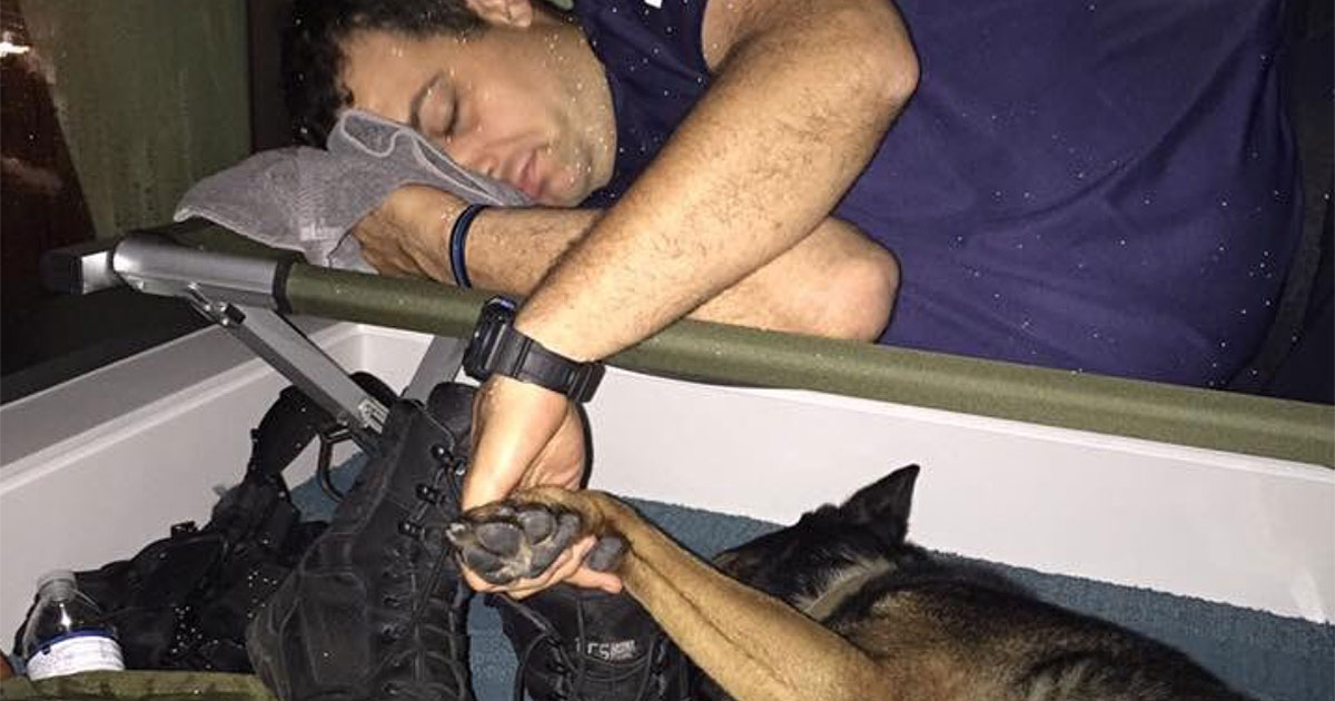 Heartwarming Photo Shows Sweet Moment Between Officer, Rescue Dog During Hurricane Irma