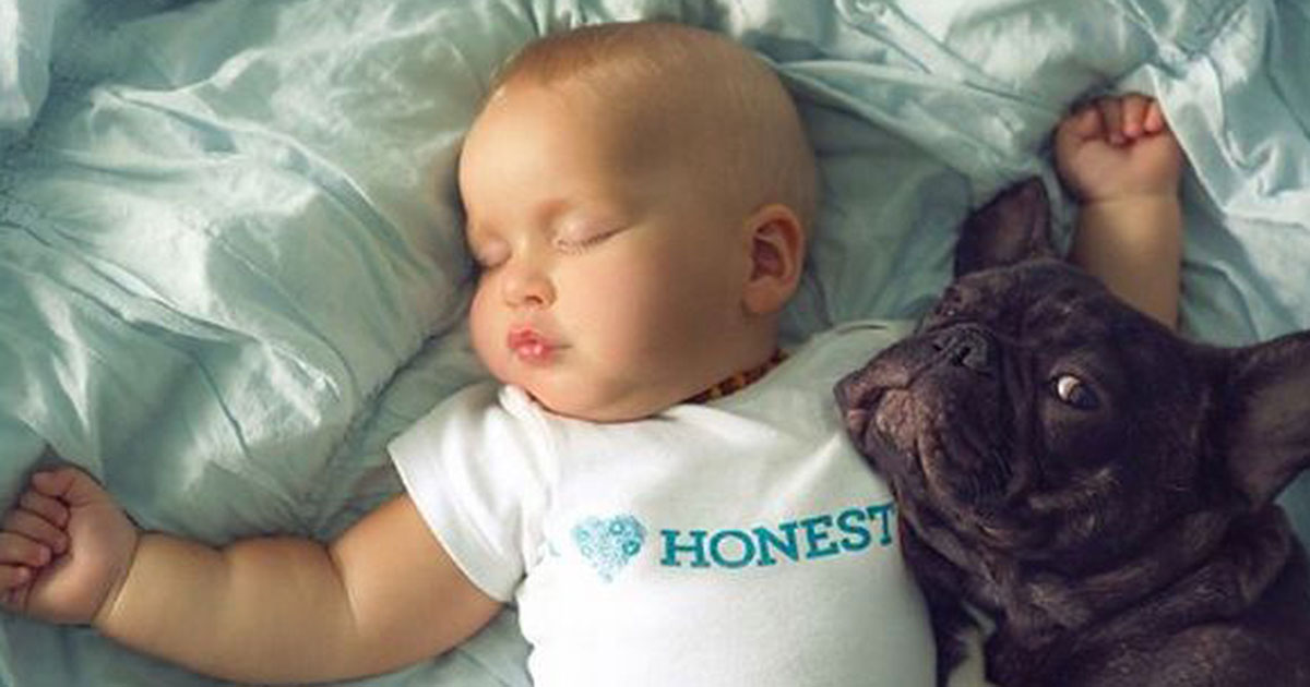 Puppy and Baby Born on Same Day Think They’re Brothers and It’s Beyond Adorable