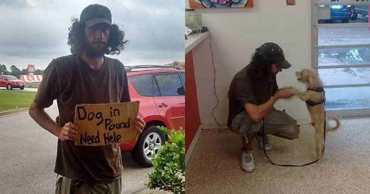 Woman Pays $120 to Help Homeless Stranger Get Dog Back From Pound