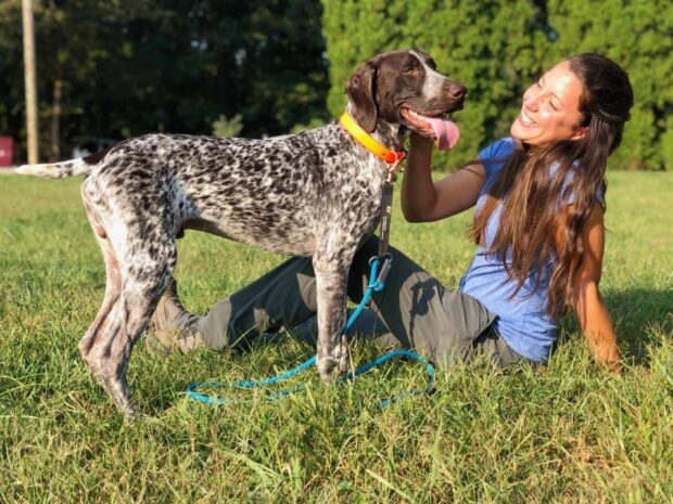 conservation dog