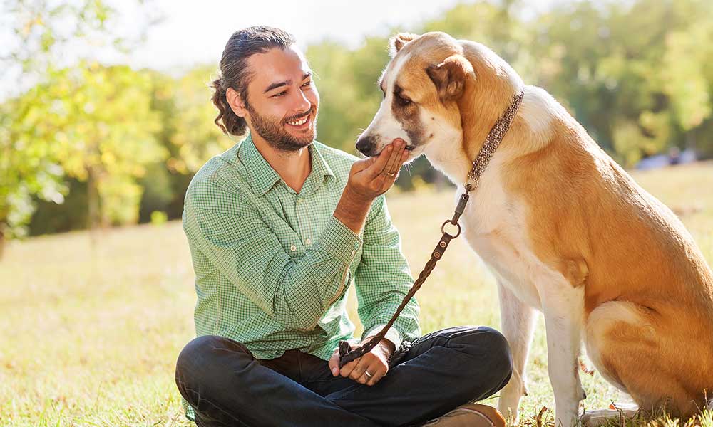 Dog Breeds That Are Good For Your Health