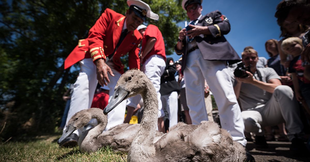 10 Queen Elizabeth facts