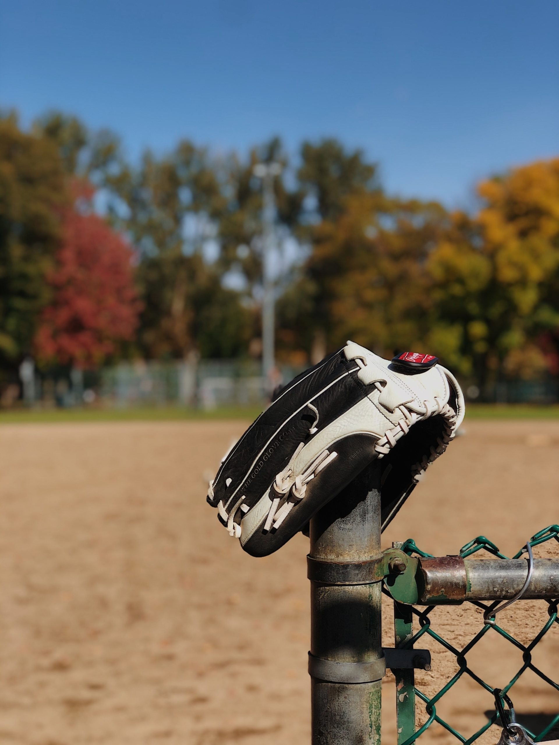 2 DCF7 D0 B 08 FF 4035 BA7 F C11 D55 DB23 C7