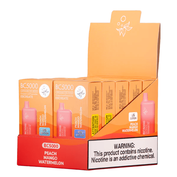 EBCREATE BC5000 Peach Mango Watermelon Disposable Vape 10 pack