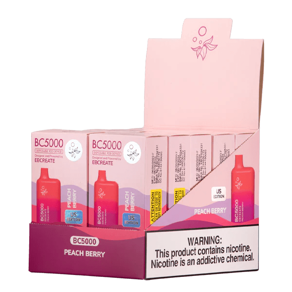 EBCREATE BC5000 Peach Berry Disposable Vape 10 PACK