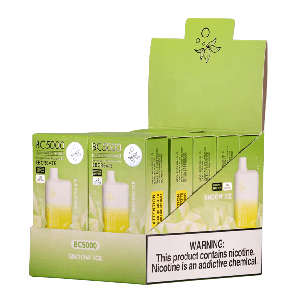 EBCREATE BC5000 Snoow Ice Disposable Vape 10 pack