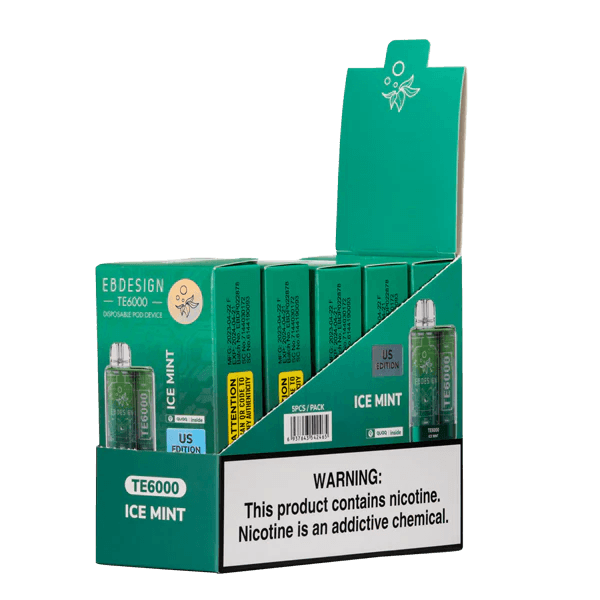 EBDESIGN TE6000 Ice Mint Disposable Vape 5 Pack