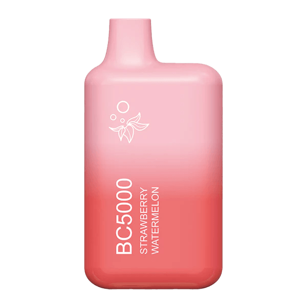 EBCREATE BC5000 Strawberry Watermelon Disposable Vape