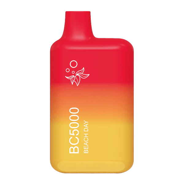 EBDesign BC5000 Disposable Vape Beach Day