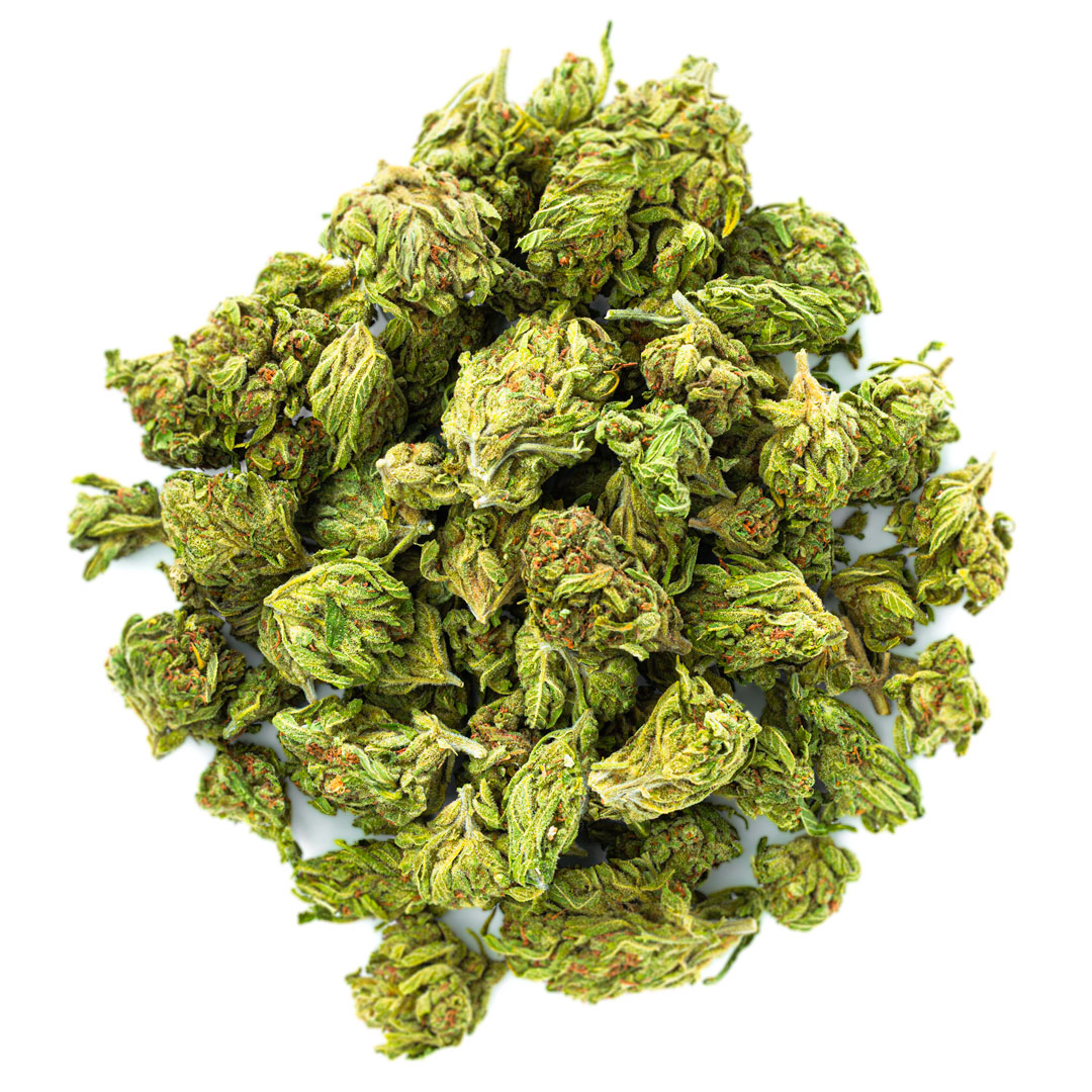 Blueberry Cough - 28 Grams - Sativa