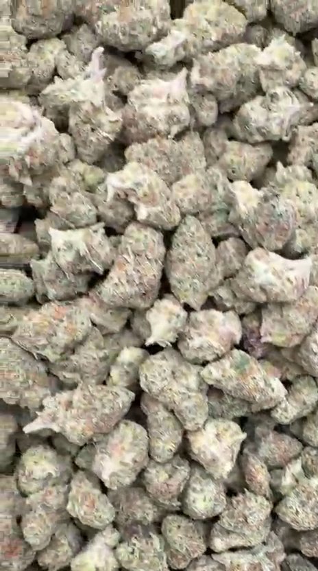 Butter Pina Littles - Bulk Littles - Indica