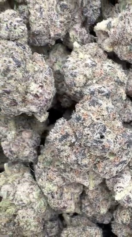 Donny Burger Indoor - Bulk - Indica