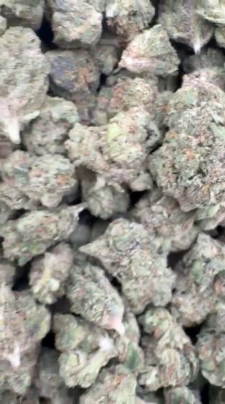 Double Runtz Littles - Bulk Littles - Hybrid
