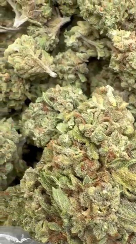 Maui Wowie - Bulk - Sativa