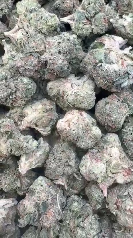 Pave Pop Mediums - Bulk Mediums - Hybrid