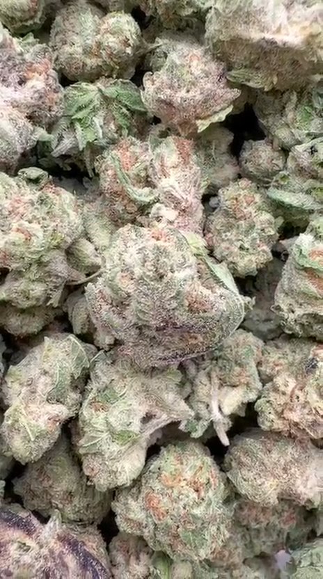 Purple Punch Littles - Bulk Littles - Indica