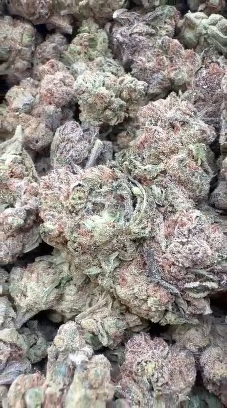 Blue Runtz - Bulk - Hybrid