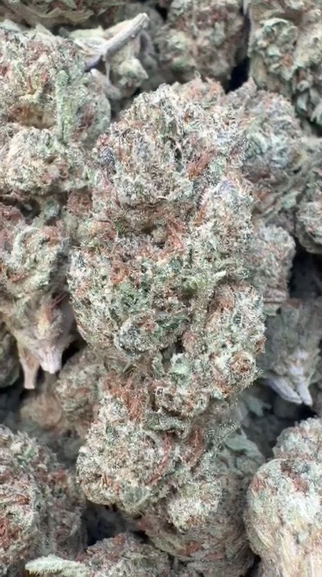 Bruce Banner - Bulk - Hybrid