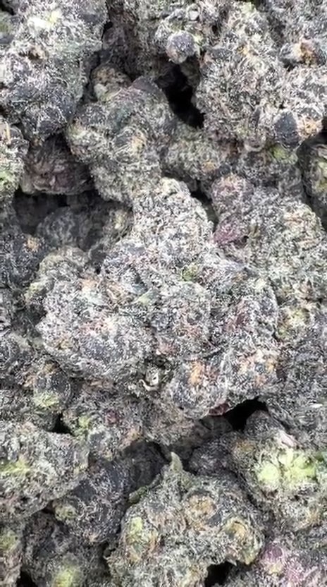 Black Cherry Runtz Indoor - Bulk - Indica