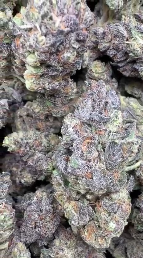 Peak 112 - Bulk - Indica