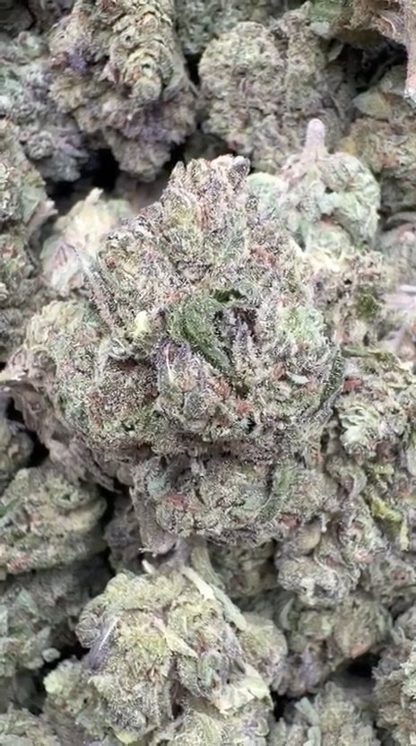 White Runtz - Bulk - Hybrid