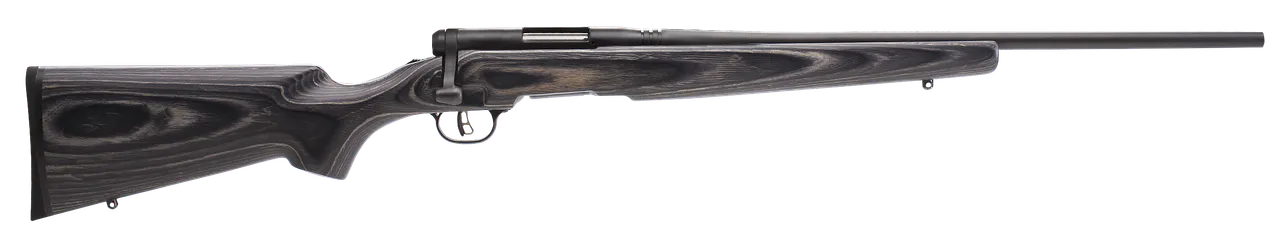 Savage Arms 96971 B.MAG Sporter Full Size 17 WSM 8+1 22" Matte Black Sporter Barrel, Matte Black Drilled & Tapped Carbon Steel Receiver, Gray Fixed Laminate Stock, Right Hand