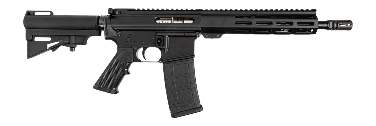 Dpms Panther Arms DP51655231683 DP-15 Shortacle 300 AAC Blackout 30+1 10.50" Black Nitride Threaded Barrel, Black Hardcoat Anodize Aluminum Receiver w/Picatinny Rail. M-LOK Handguard, Black Polymer Ad