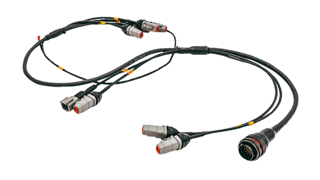Competition Wiring Looms