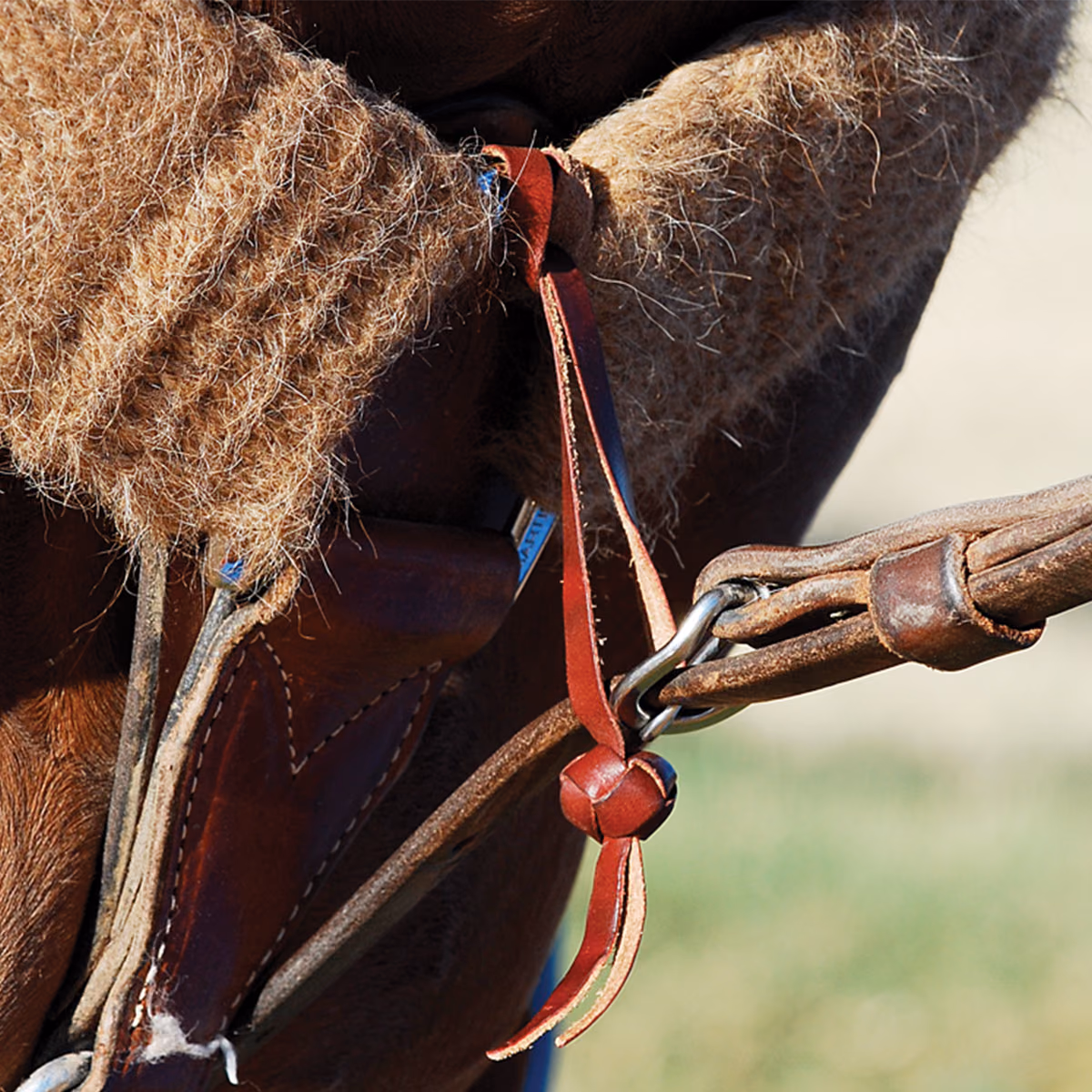 Martin Saddlery Tiedown Hobble Strap with Button Knot