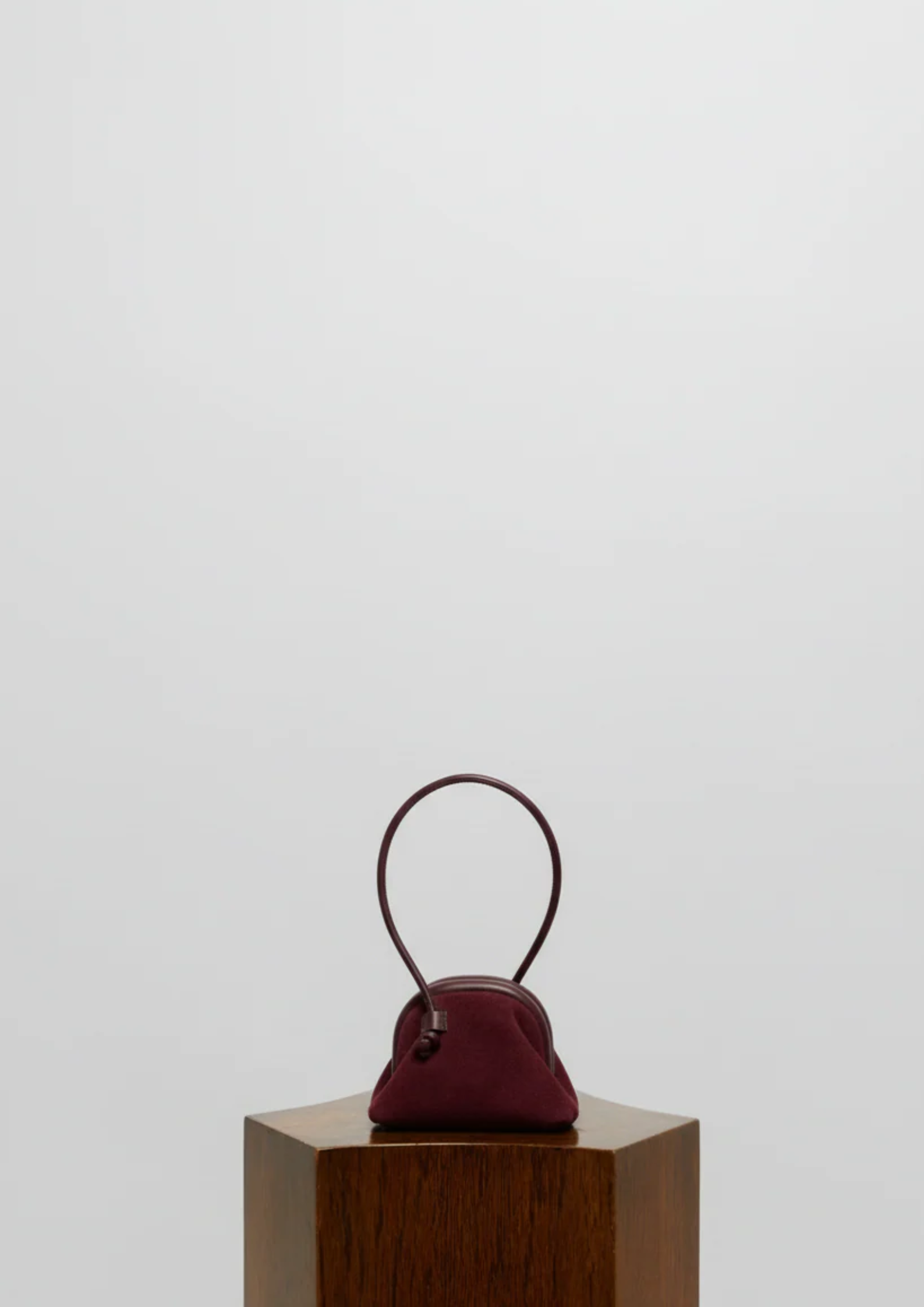 Micro Mini Money Bag in Suede
