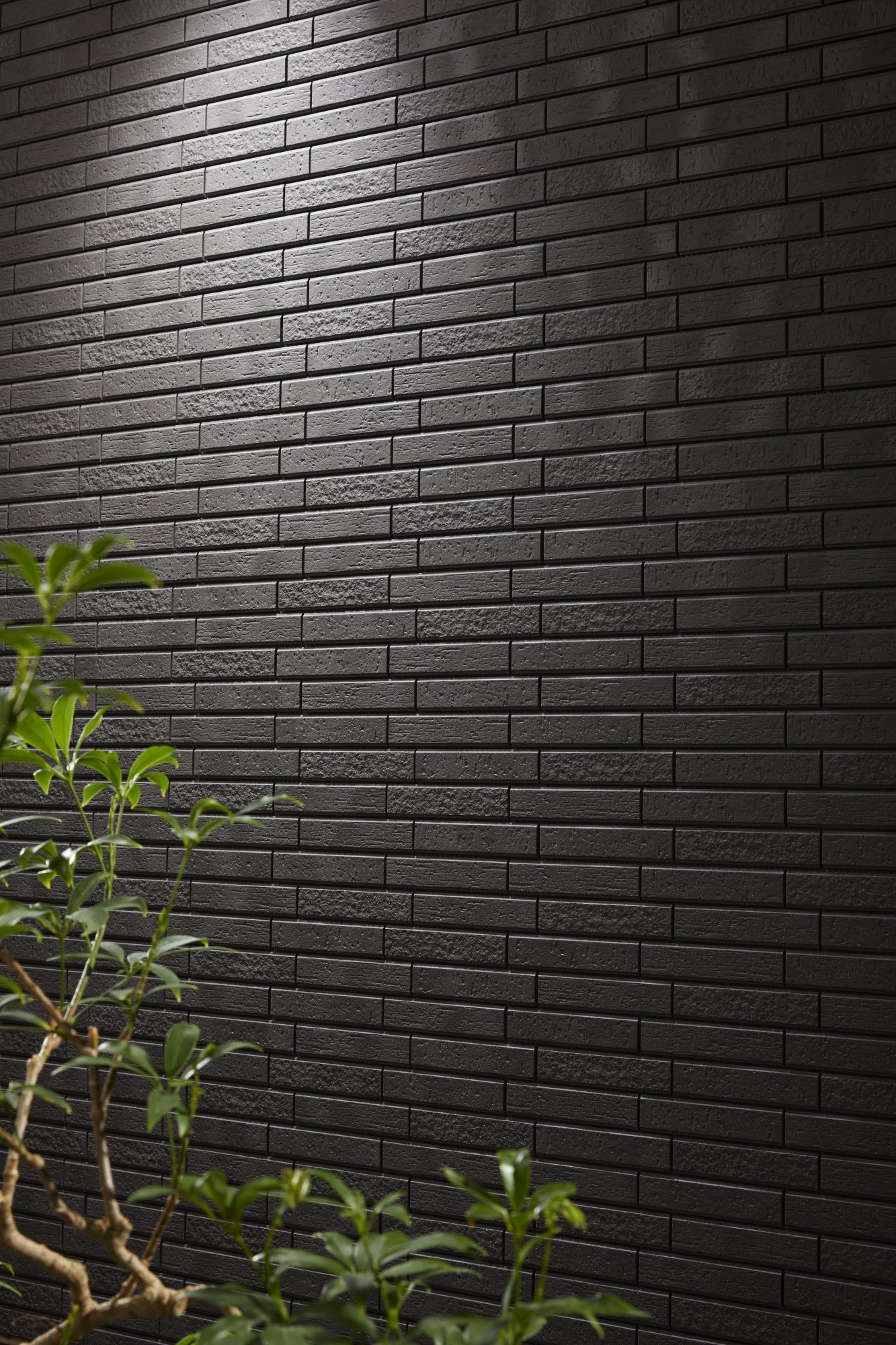セラヴィオグラン C | Material Bank®