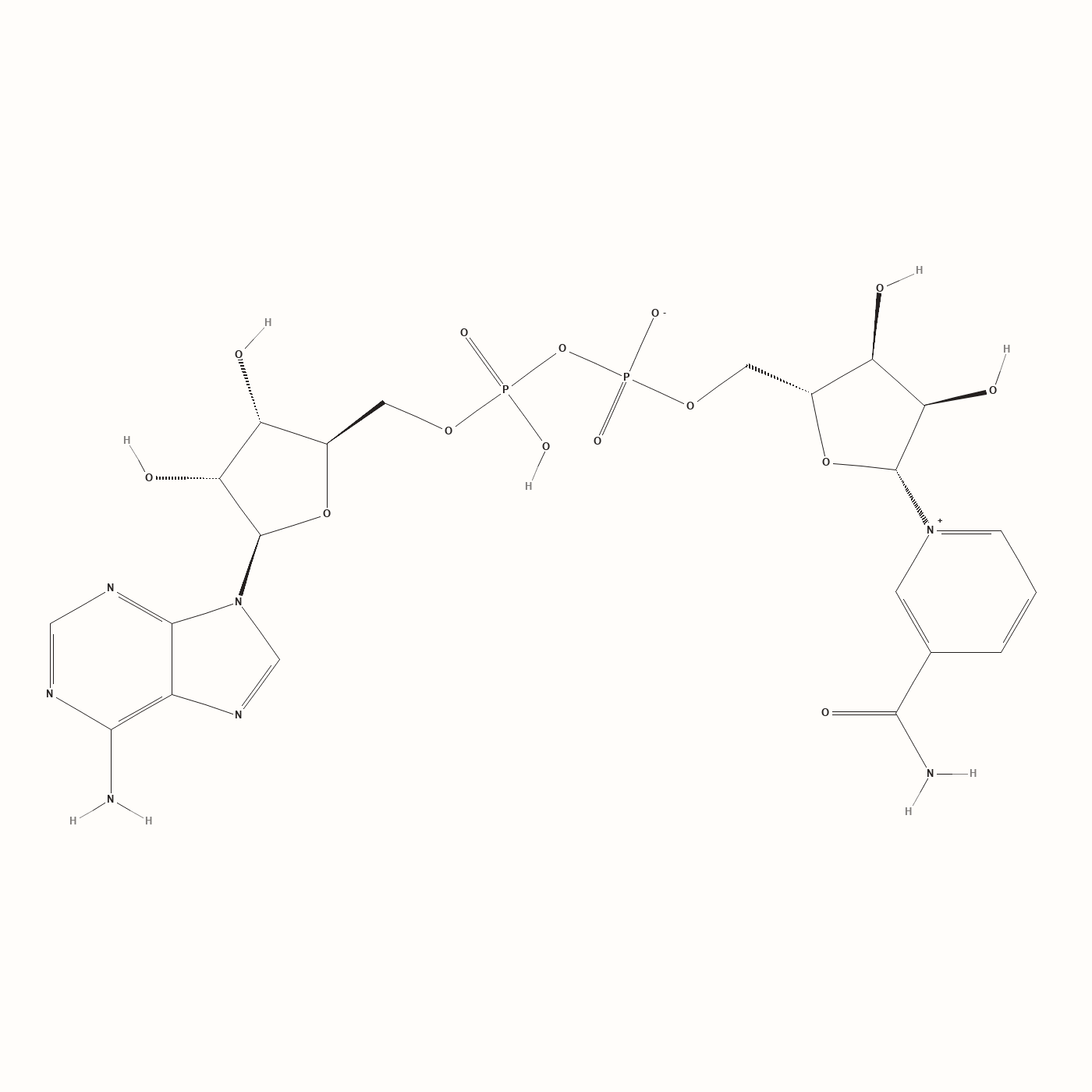 NAD+ molecular structure, the coenzyme nicotinamide adenine dinucleotide
