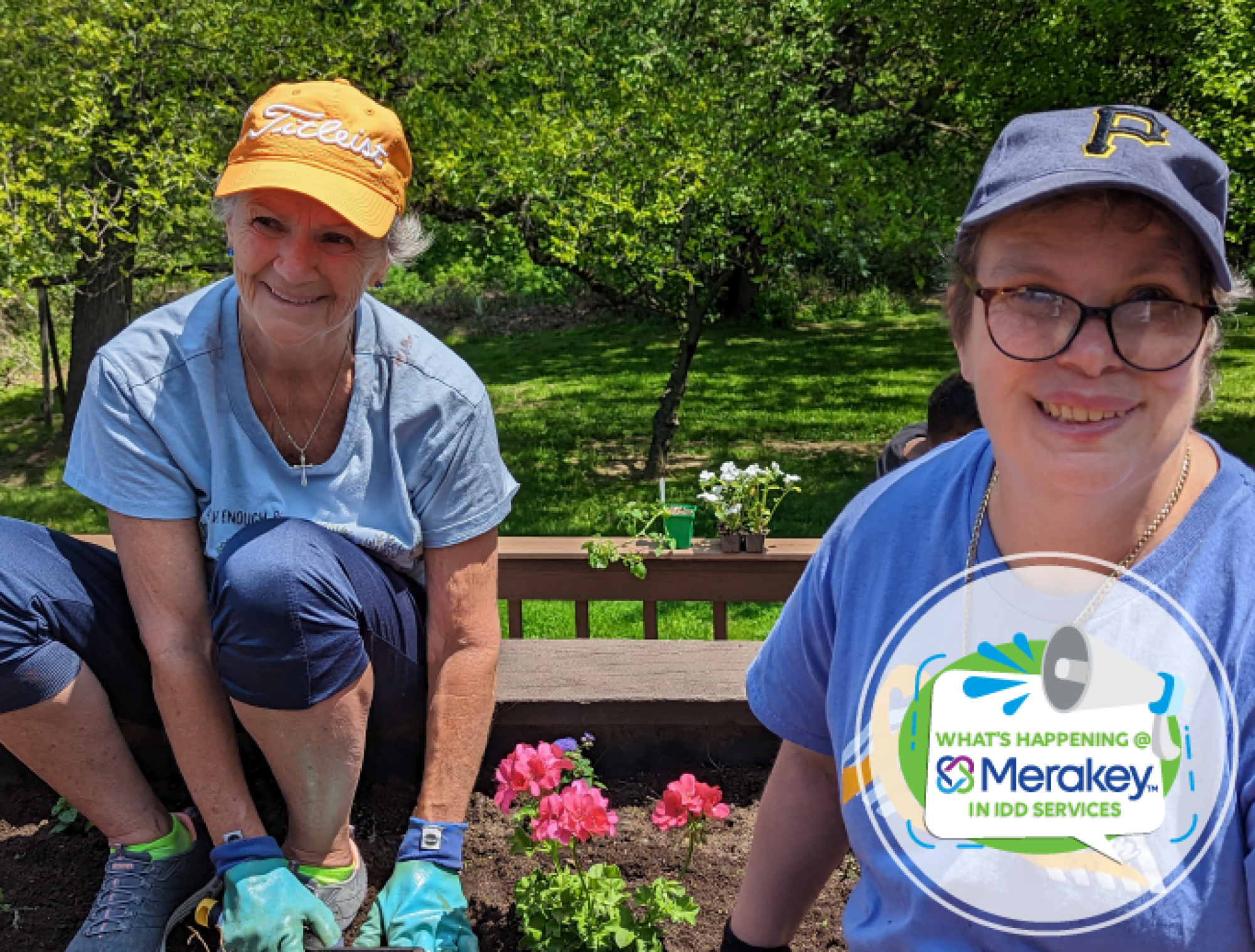 What’s Happening in the IDD Division?