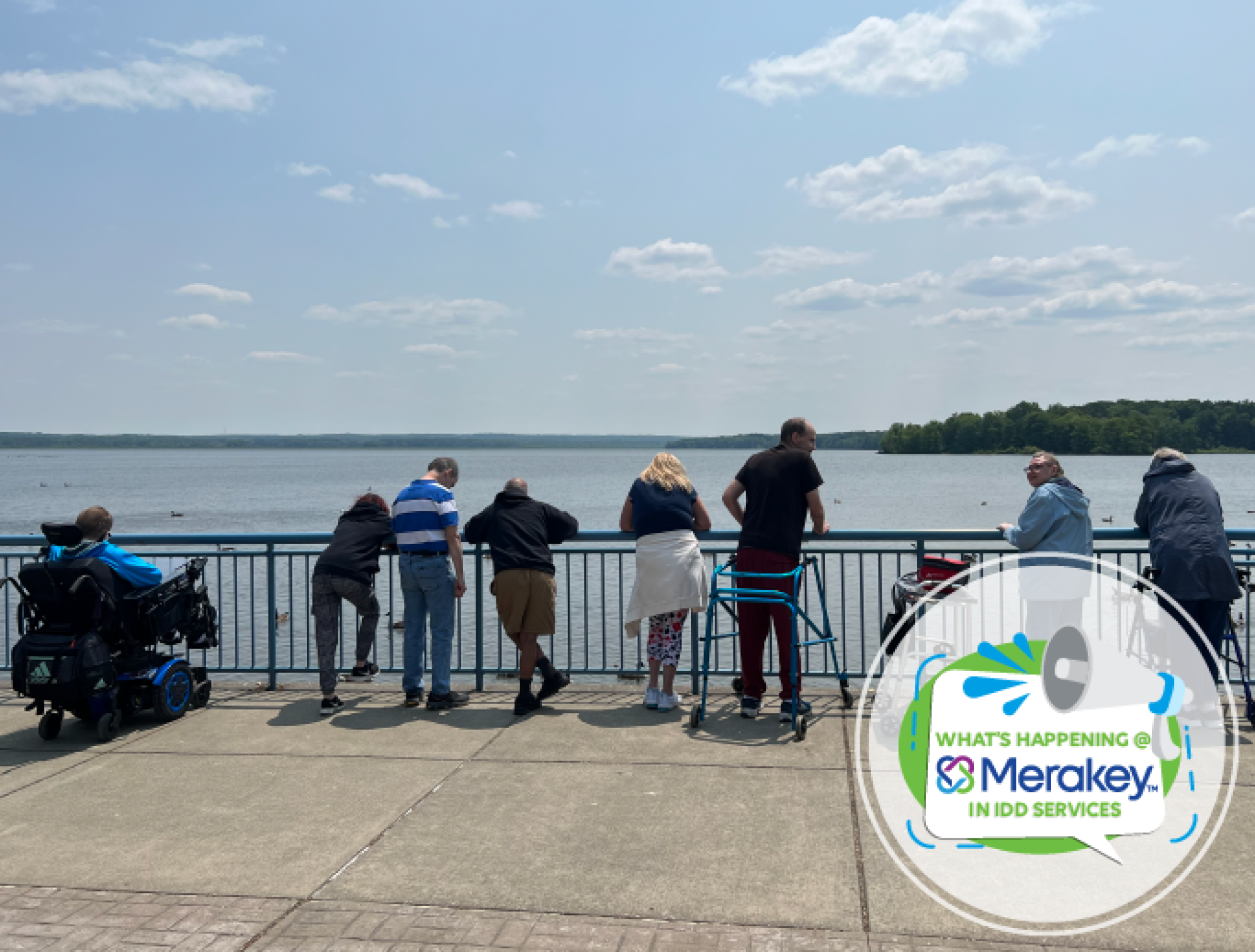 What’s Happening in the IDD Division?