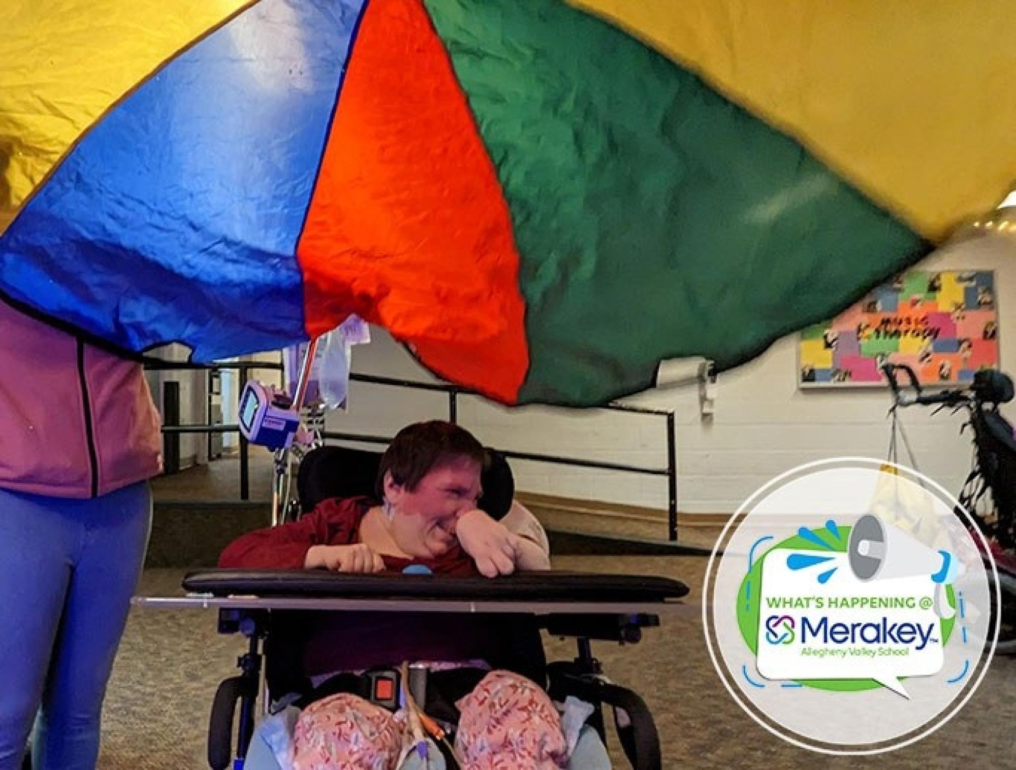 What’s Happening at Merakey AVS?