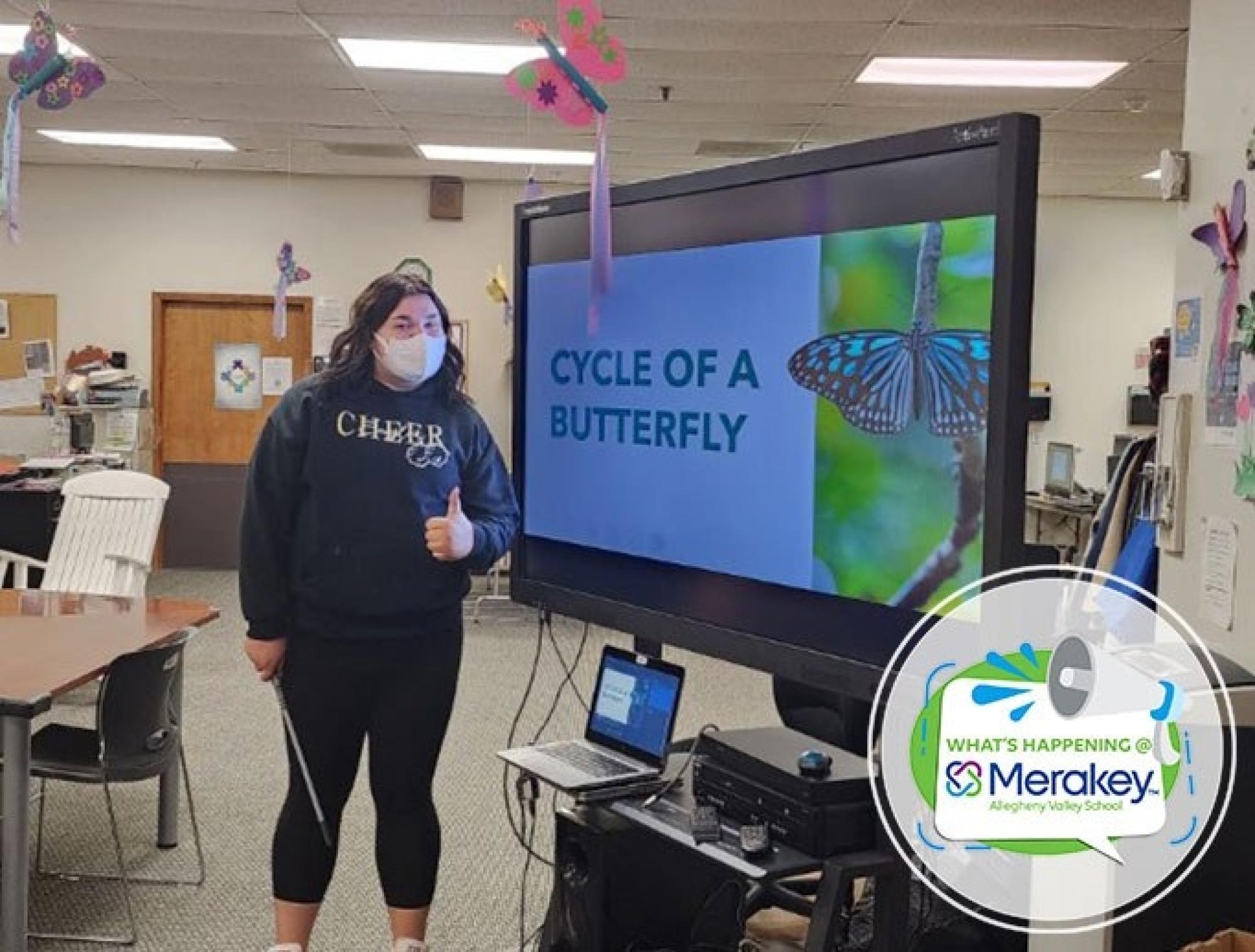 What’s Happening at Merakey AVS?