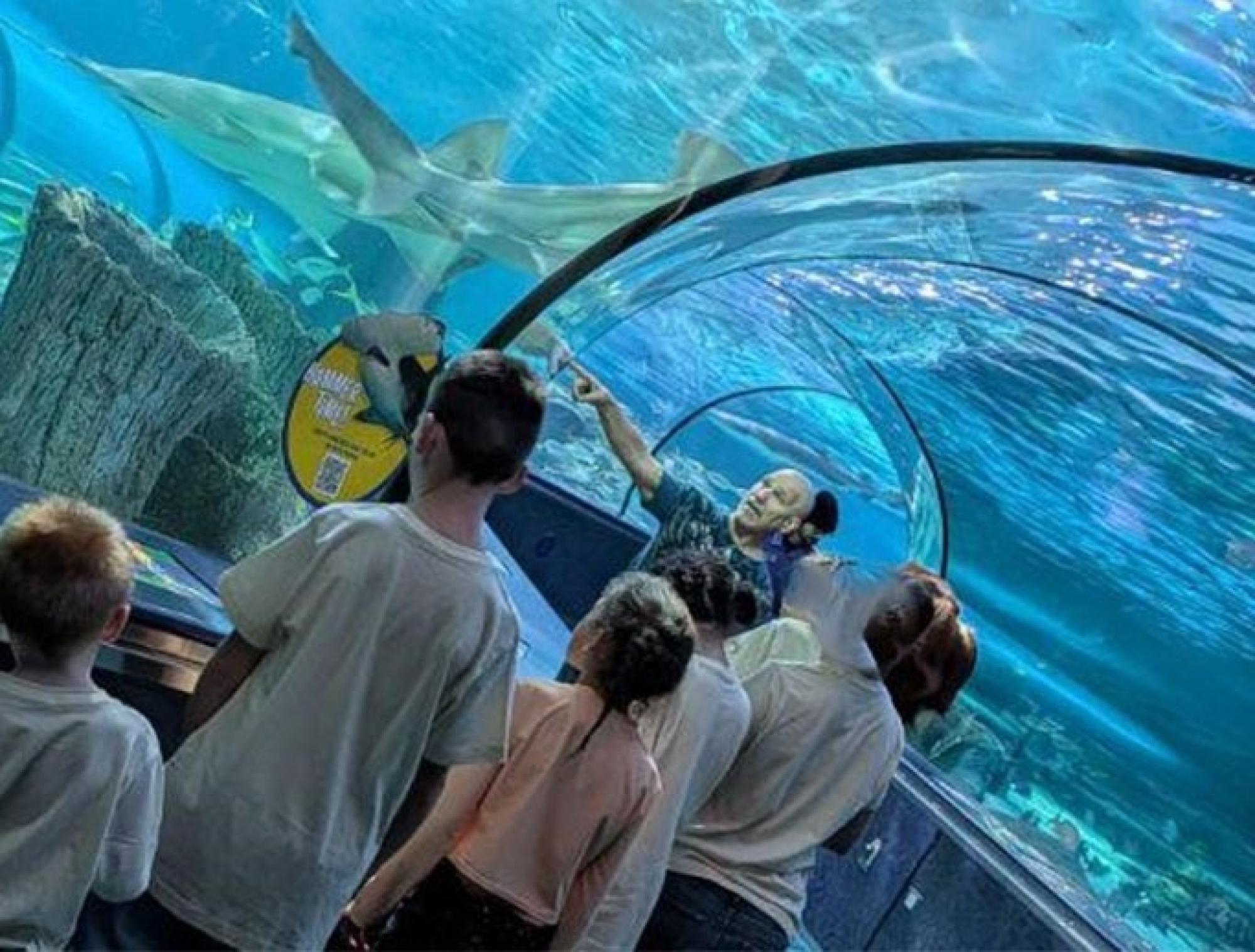 Christmas in Myrtle Beach