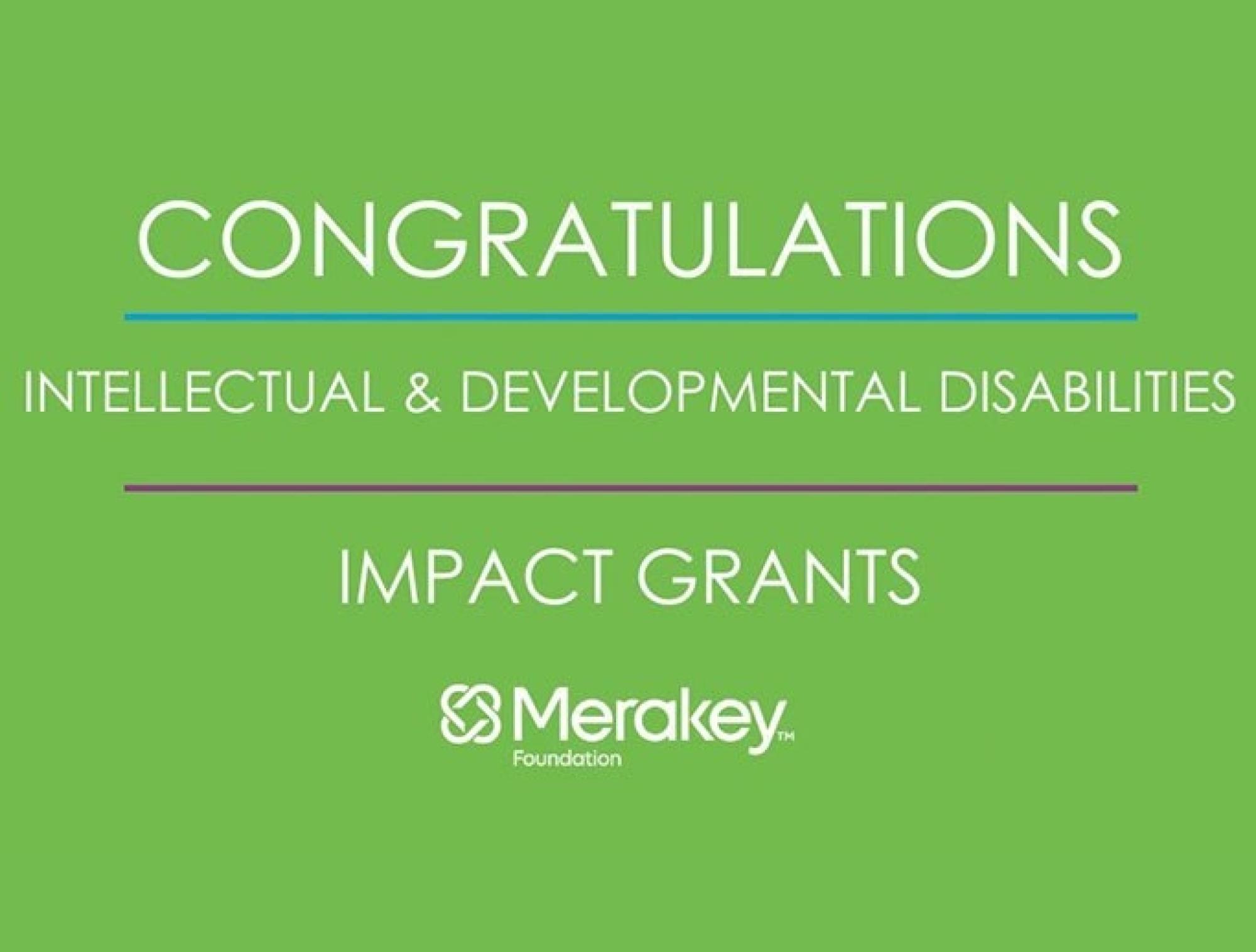 Congratulations to the Intellectual and Developmental Disabilities (IDD) Impact Grant Recipients!