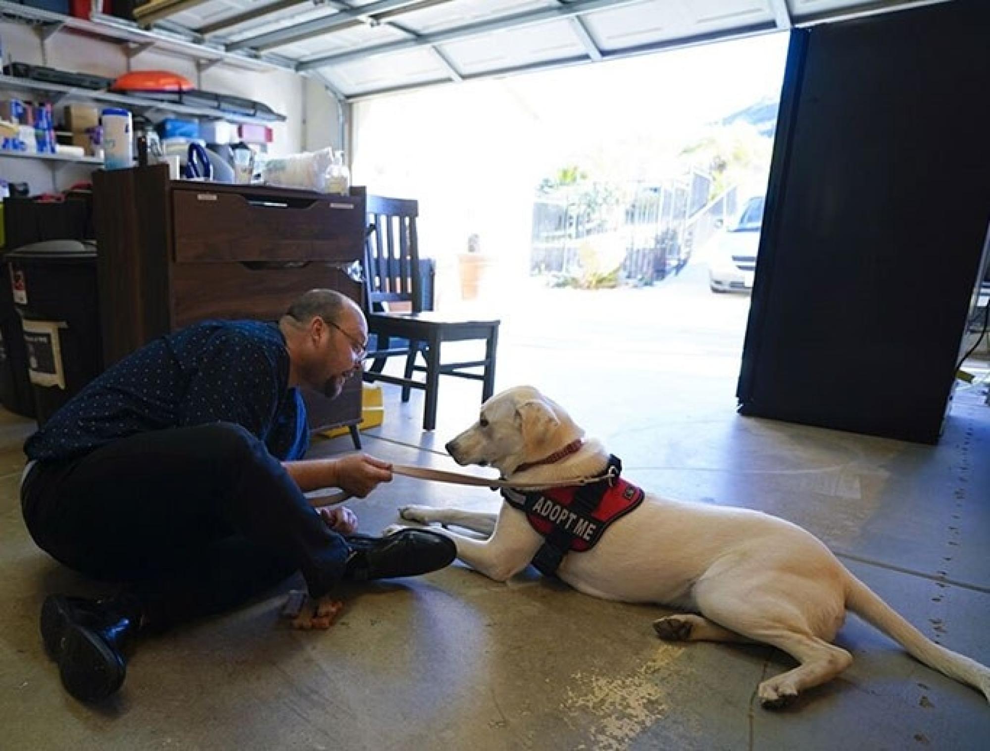 An Innovative and Unique Service is Helping People and Pets