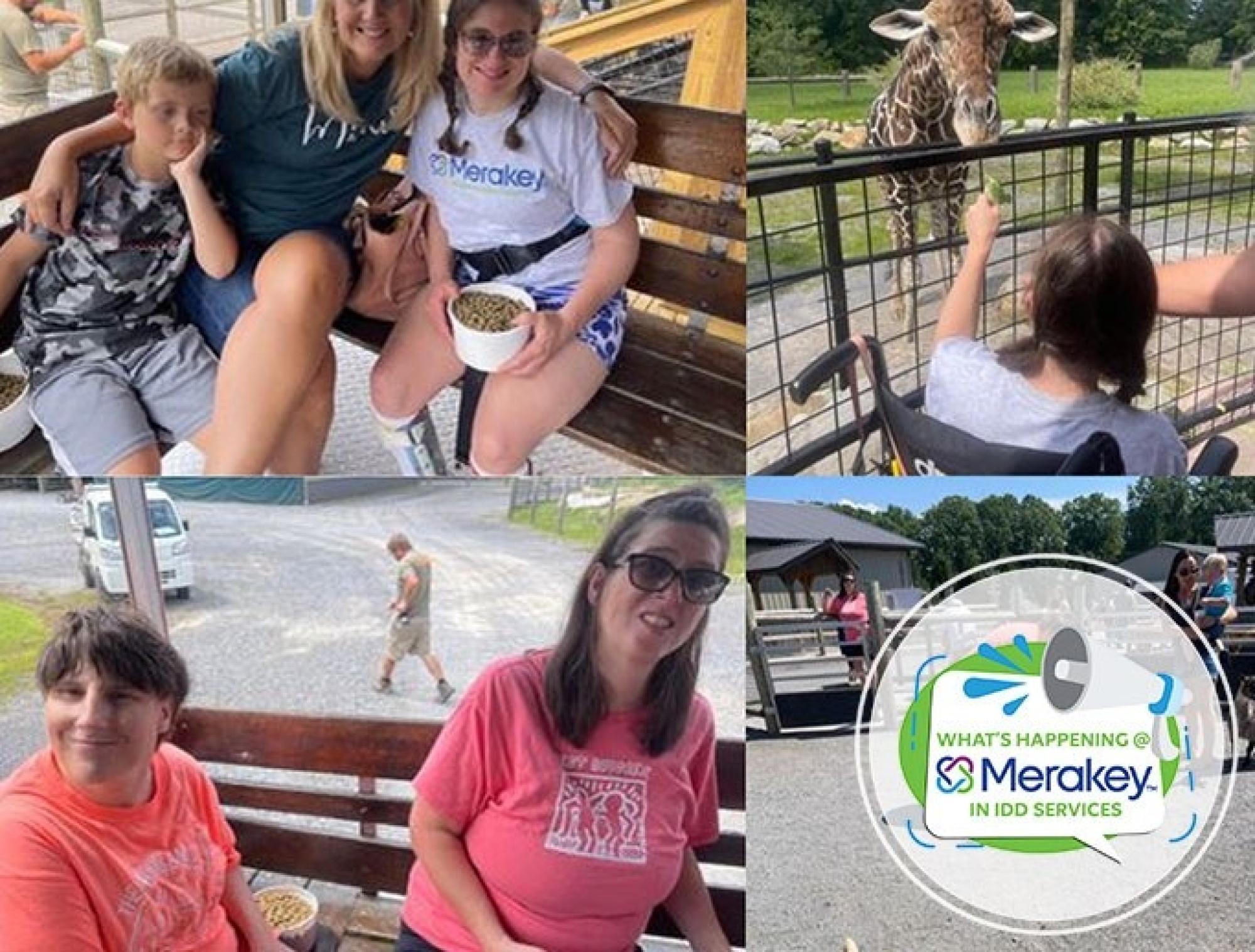 What’s Happening in the IDD Division?