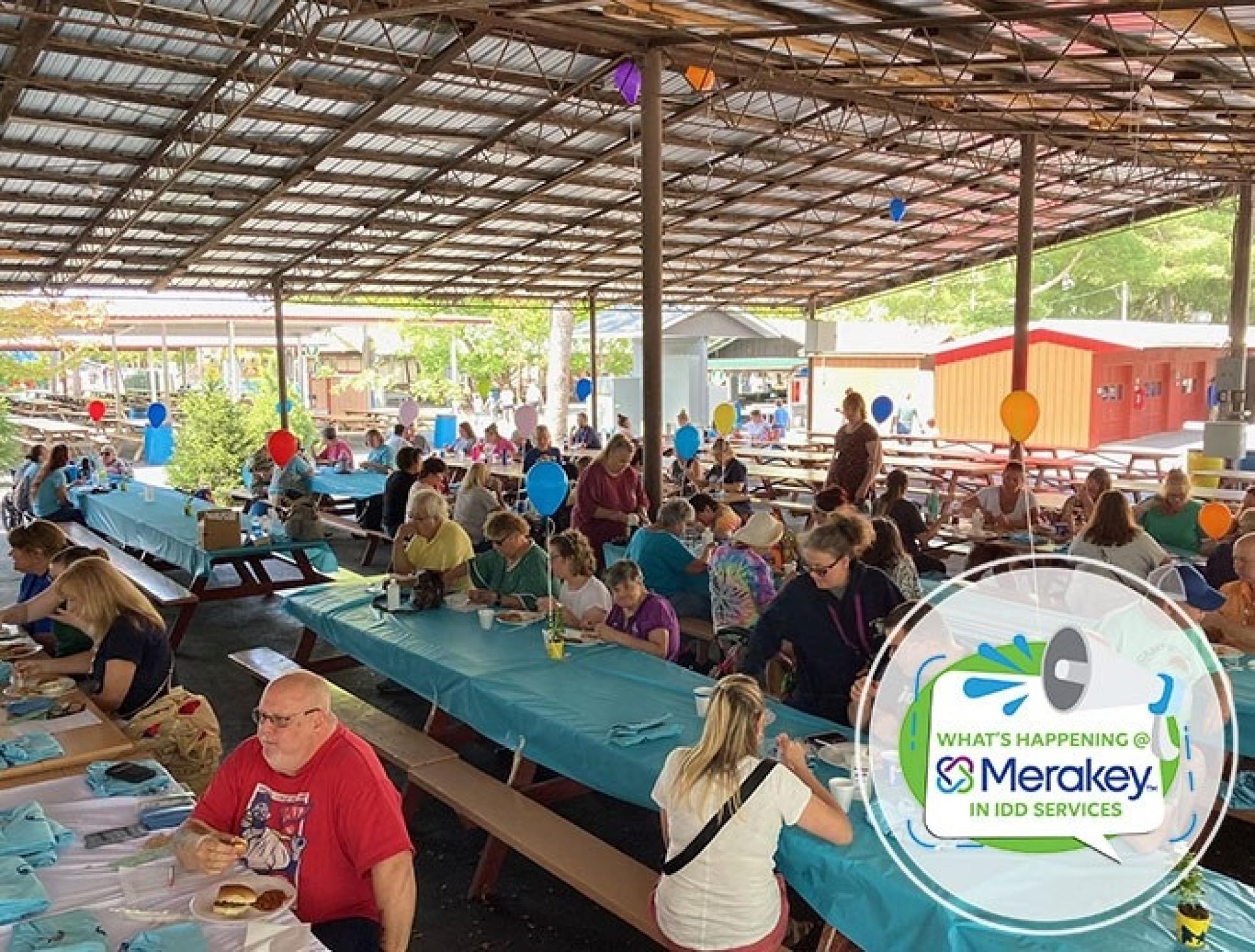 What’s Happening in the IDD Division?