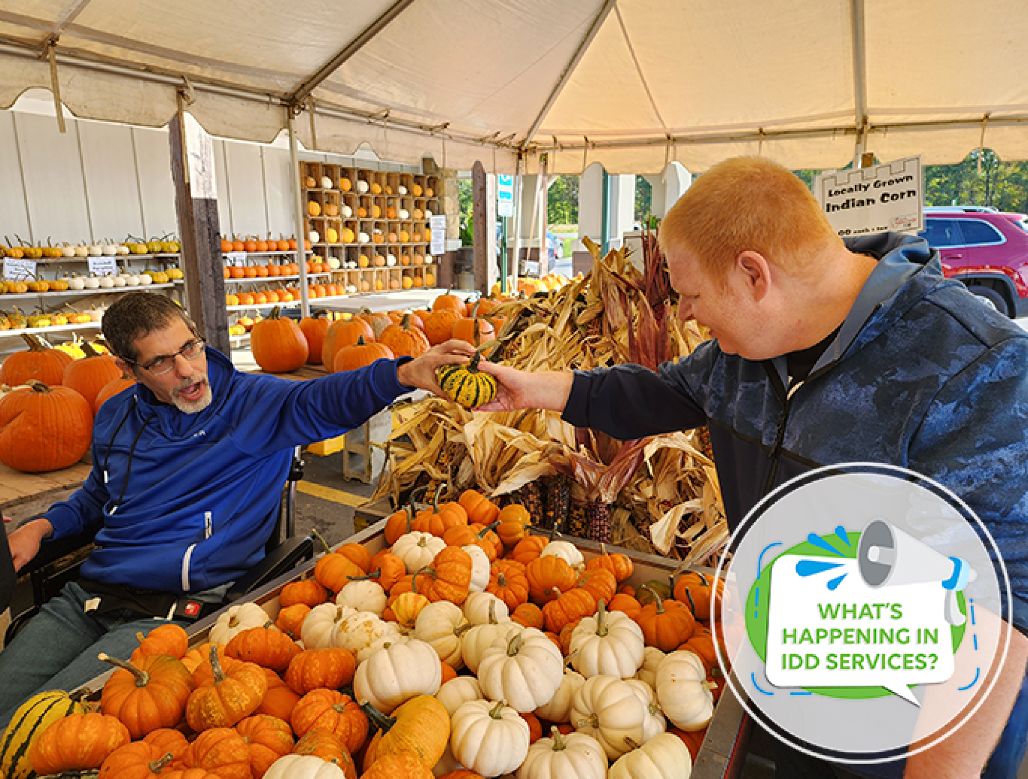 What’s Happening in IDD Services?