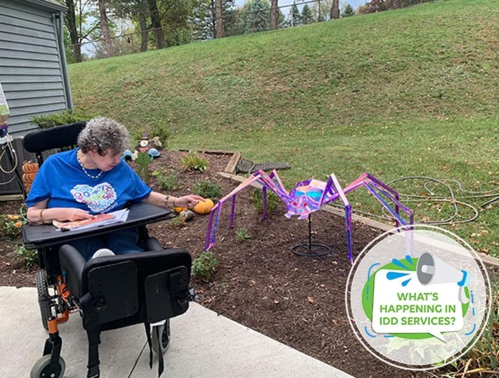 What’s Happening in IDD Services?