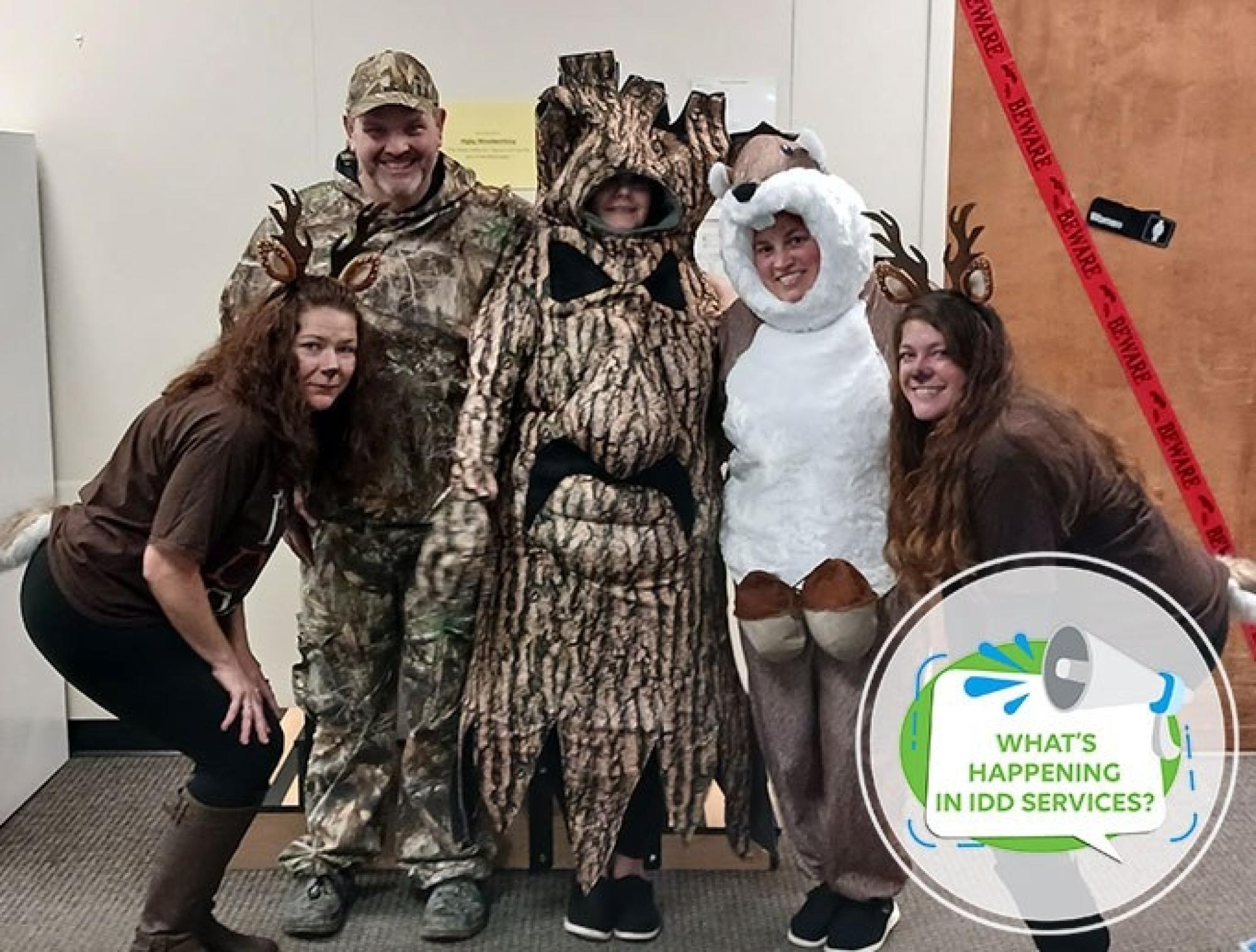 What’s Happening in the IDD Division?