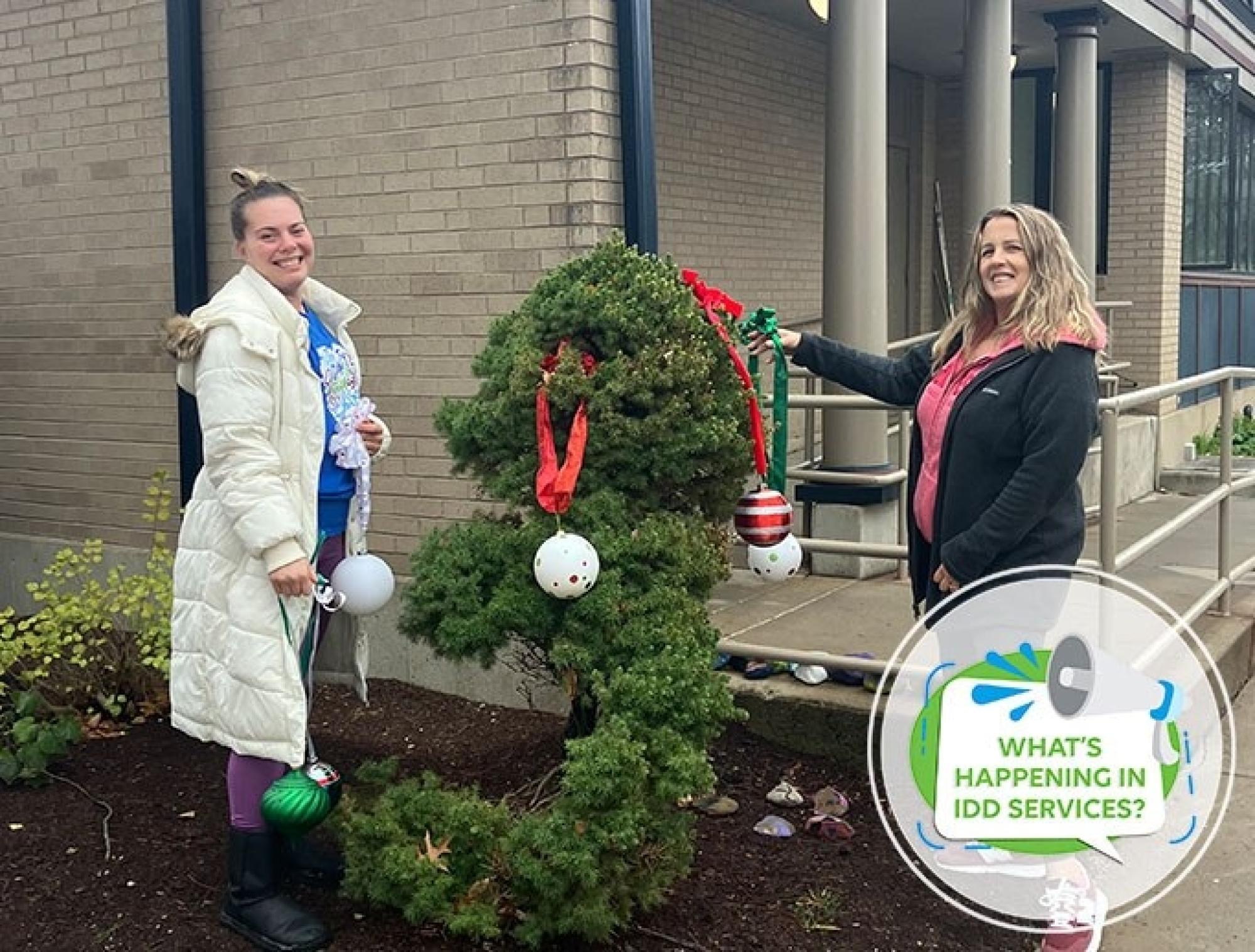 What’s Happening in IDD Services?