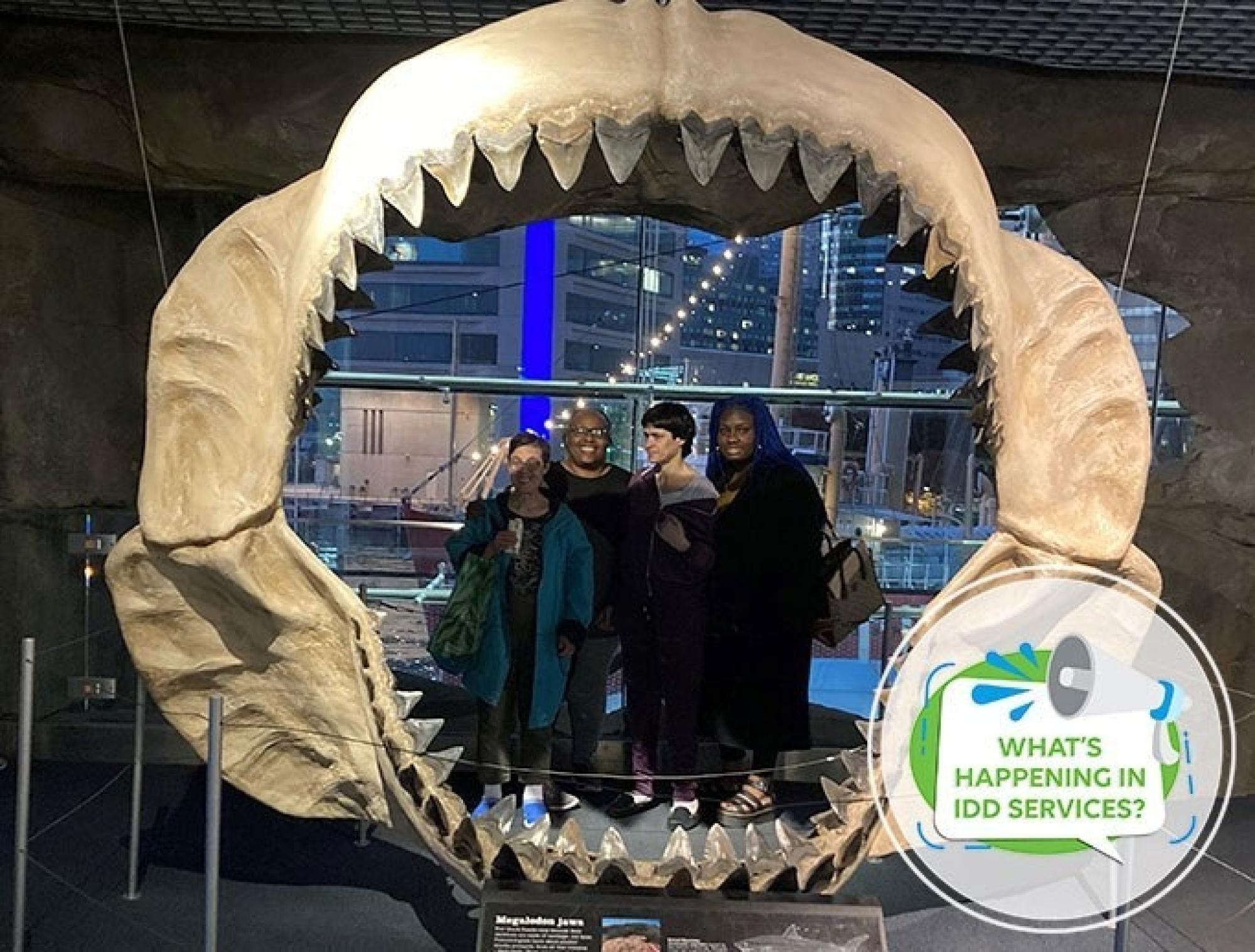 What’s Happening in the IDD Division?