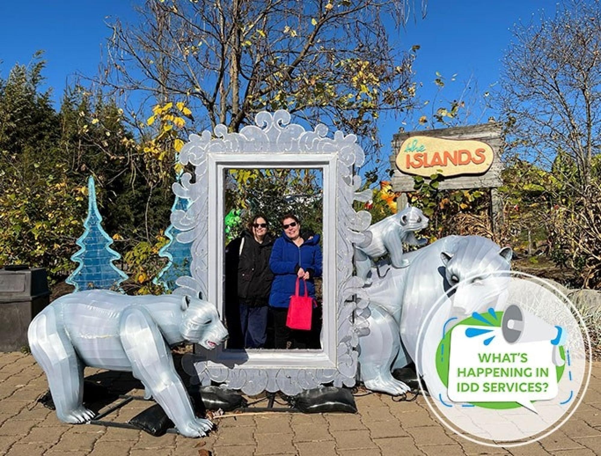 What’s Happening in IDD Services?