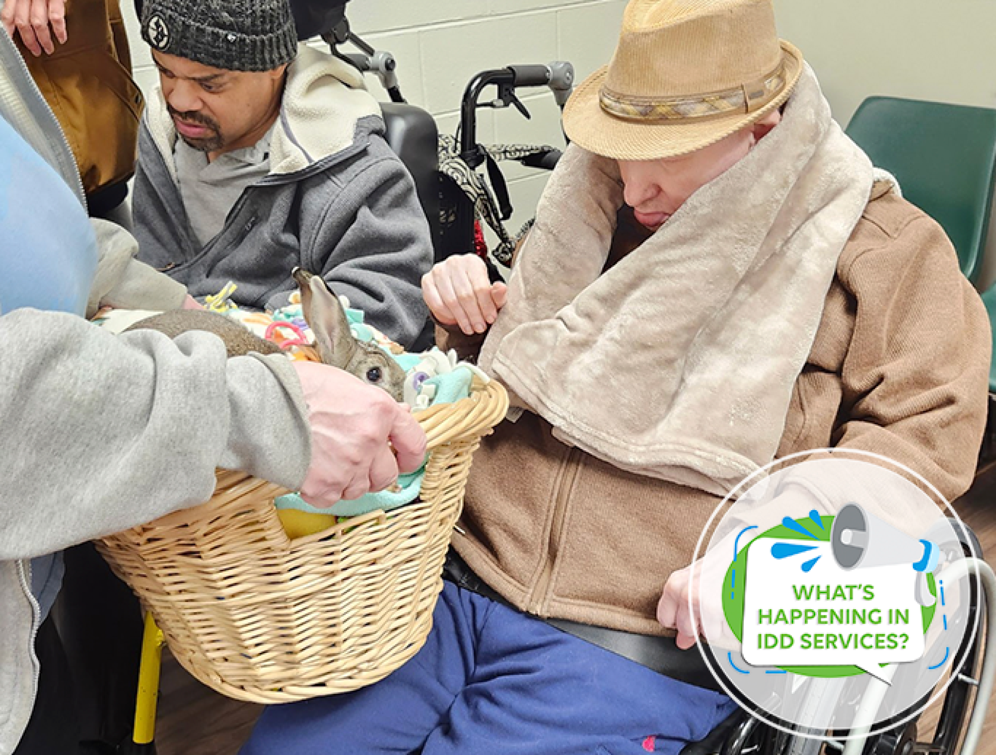 What’s Happening in IDD Services?